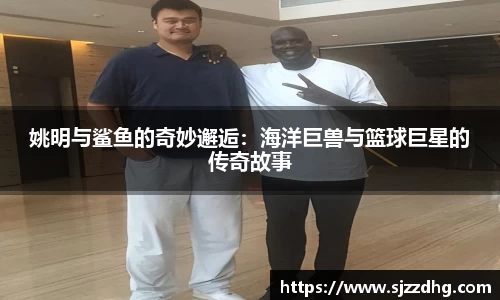 姚明与鲨鱼的奇妙邂逅：海洋巨兽与篮球巨星的传奇故事