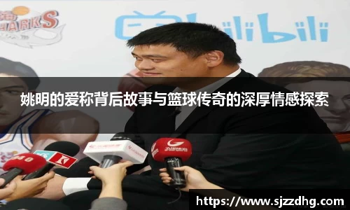 zoty中欧官网