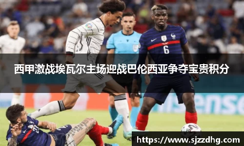 zoty中欧